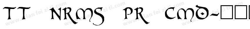 TT Nrms Pr Cmd字体转换